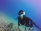 Hawaii Scuba divng 16