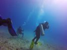 Hawaii Scuba divng 17