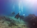 Hawaii Scuba divng 24