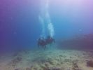 Hawaii Scuba divng 25