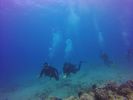 Hawaii Scuba divng 27