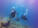 Hawaii Scuba divng 30