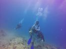 Hawaii Scuba divng 31