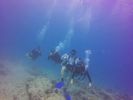 Hawaii Scuba divng 32