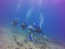 Hawaii Scuba divng 33