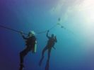 Hawaii Scuba divng 48