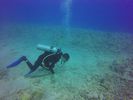 Hawaii Scuba divng 56