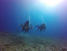 Hawaii Scuba divng 58