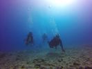 Hawaii Scuba divng 59