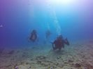 Hawaii Scuba divng 60