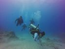 Hawaii Scuba divng 71