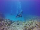 Hawaii Scuba divng 72