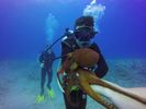 Hawaii Scuba divng 74