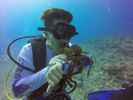 Hawaii Scuba divng 83