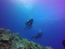 Hawaii Scuba divng 86