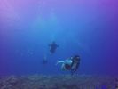 Hawaii Scuba divng 88