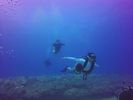 Hawaii Scuba divng 89