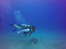 Hawaii Scuba divng 93