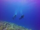 Hawaii Scuba divng 94