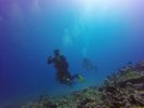 Hawaii Scuba divng 18