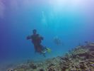 Hawaii Scuba divng 19