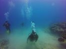 Hawaii Scuba divng 22