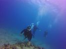 Hawaii Scuba divng 28