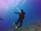 Hawaii Scuba divng 38