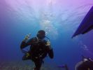 Hawaii Scuba divng 40