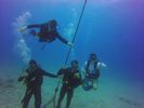 Hawaii Scuba divng 43