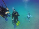 Hawaii Scuba divng 45