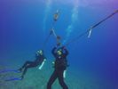 Hawaii Scuba divng 46