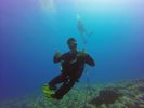 Hawaii Scuba divng 52