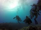 Hawaii Scuba divng 68