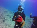 Hawaii Scuba divng 75