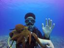 Hawaii Scuba divng 78