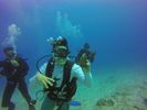 Hawaii Scuba divng 91