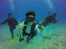 Hawaii Scuba divng 92