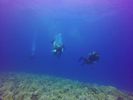 Hawaii Scuba divng 95