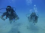 Hawaii Scuba divng 15