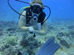 Hawaii Scuba divng 19