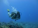 Hawaii Scuba divng 20