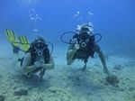 Hawaii Scuba divng 21