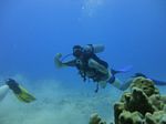 Hawaii Scuba divng 24