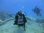 Hawaii Scuba divng 25