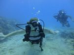 Hawaii Scuba divng 25