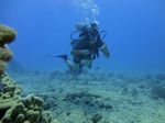 Hawaii Scuba divng 29