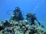 Hawaii Scuba divng 32