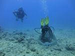 Hawaii Scuba divng 33