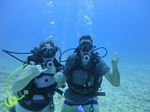 Hawaii Scuba divng 35